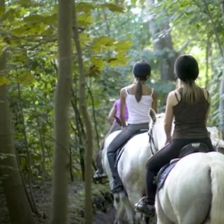 Repos St Elisabeth Nabij Plopsaland *