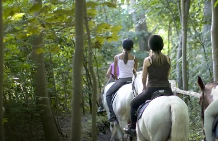 Repos St Elisabeth Nabij Plopsaland *