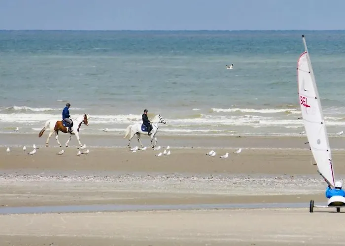 Prázdninový dům Repos St Elisabeth Nabij Plopsaland